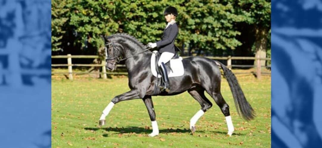 Danciano y Golden Romance Malleret PS por fin disponibles