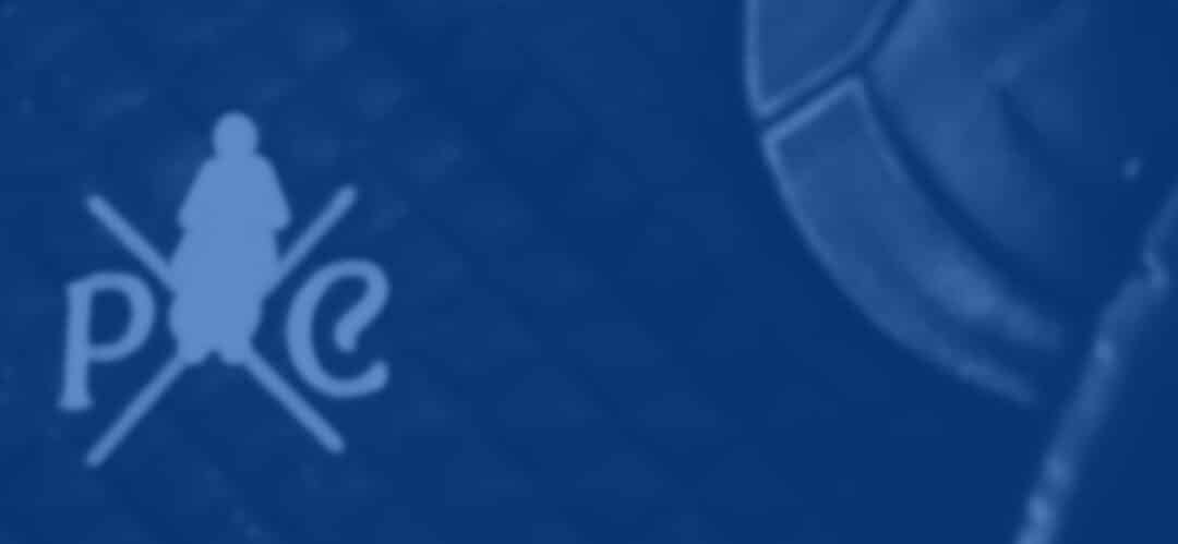 ¿Necesitas un logotipo que te distinga?