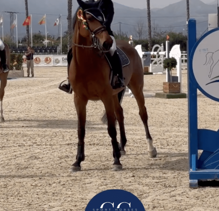 Alexandra Woivre Gómez brilla en Bronze Tour del MET