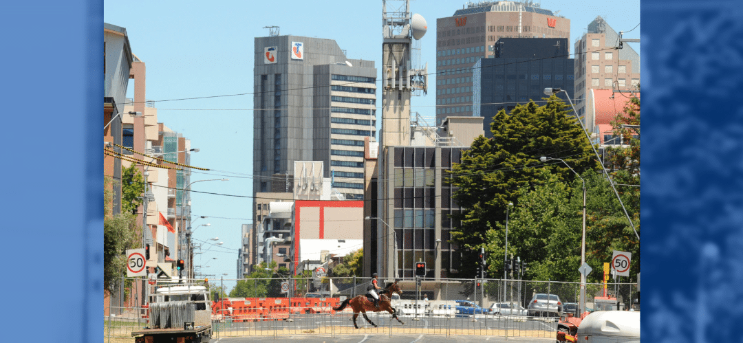El Festival Ecuestre de Adelaida (Australia) ofrece un evento estelar antes de París