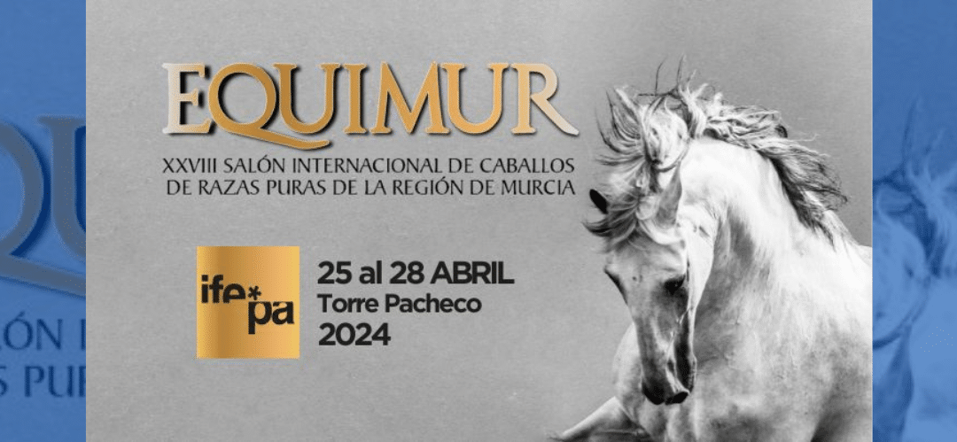 EQUIMUR brinda la oportunidad de acercarse al mundo del caballo tanto a profesionales como a familias