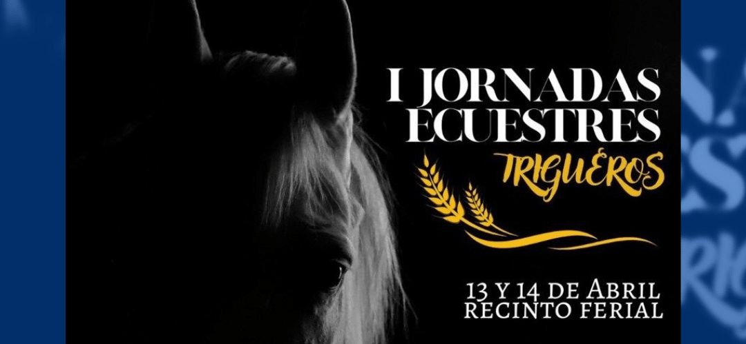 Los amantes del caballo disfrutaron de una cita en Trigueros con las I Jornadas Ecuestres