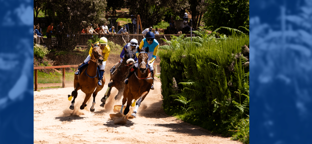 Se disputaron las penúltimas carreras de la Copa SVF en el hipódromo de La Laguna de Valleseco