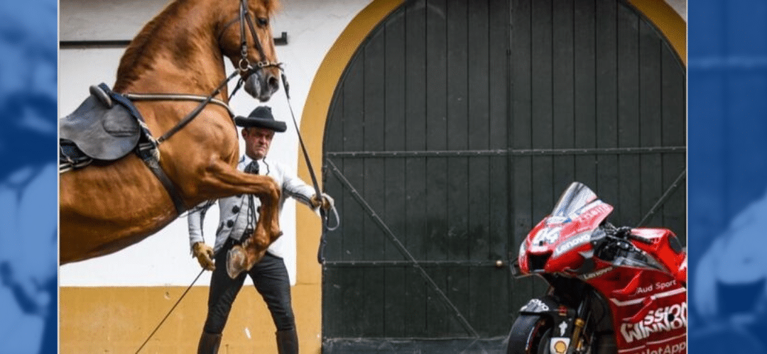 La Real Escuela ofrece descuentos para su gala del sábado al público que asiste al Gran Premio de España en Jerez