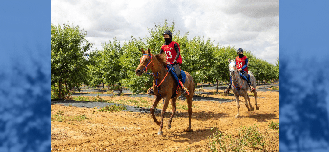 Nueva cita de raid en Ademuz 