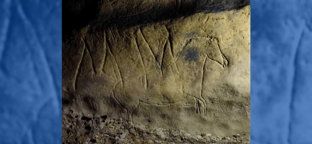 ¿Conoces el proyecto ‘Centauro’ dirigido por la Universidad de Lleida?