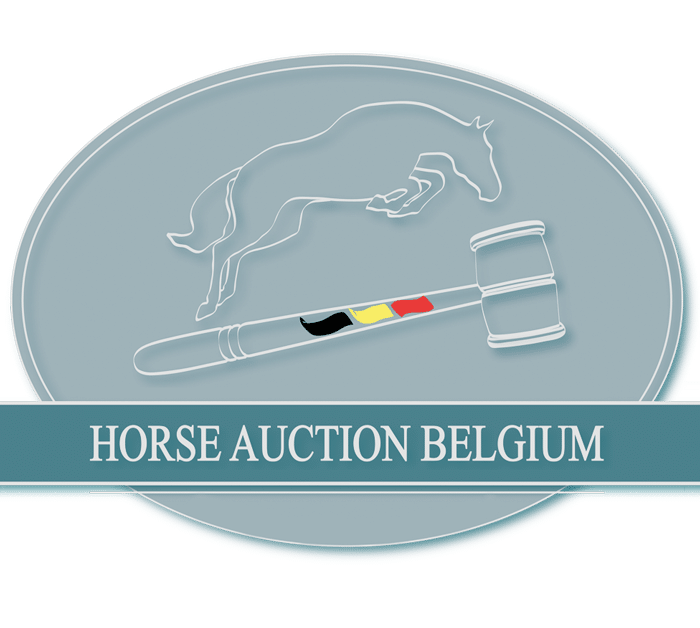 Horse Auction Belgium
