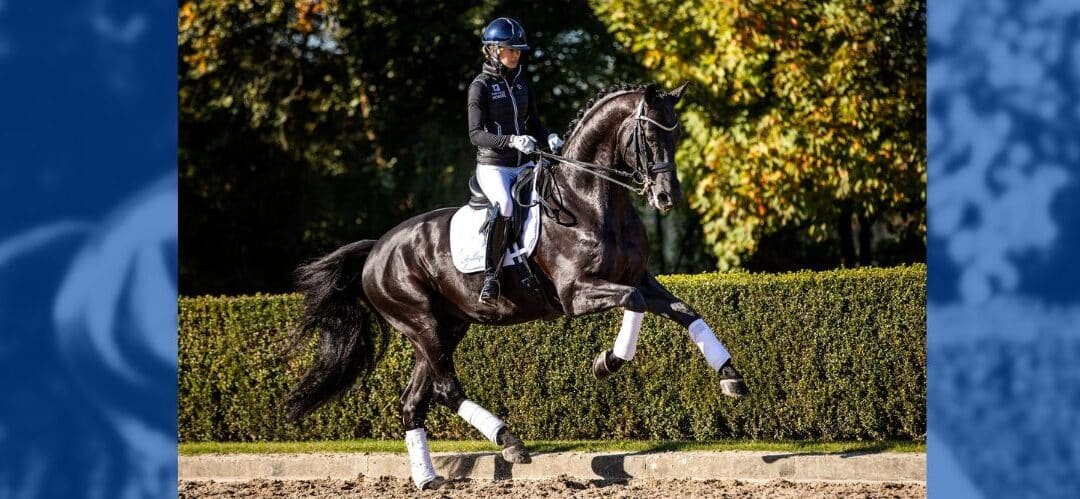 Red flag: El error de pensar que el caballo lo hace todo