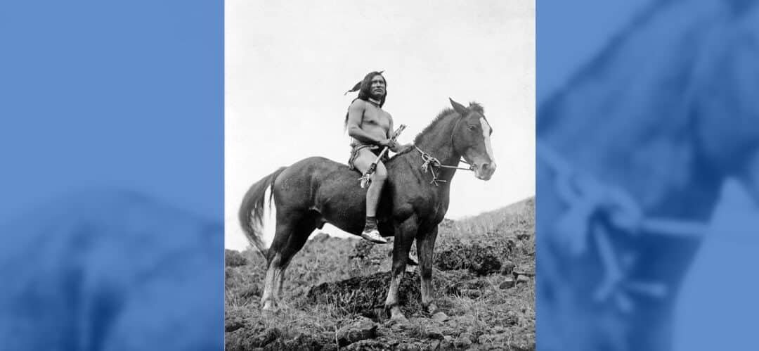 Los caballos no llegaron a América del Norte con colonizadores europeos, según un estudio reciente