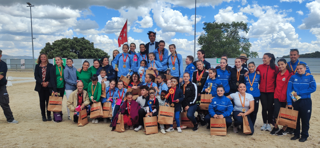 Vaulting Star Cup 2024: Un evento especial para los Volteadores de Madrid
