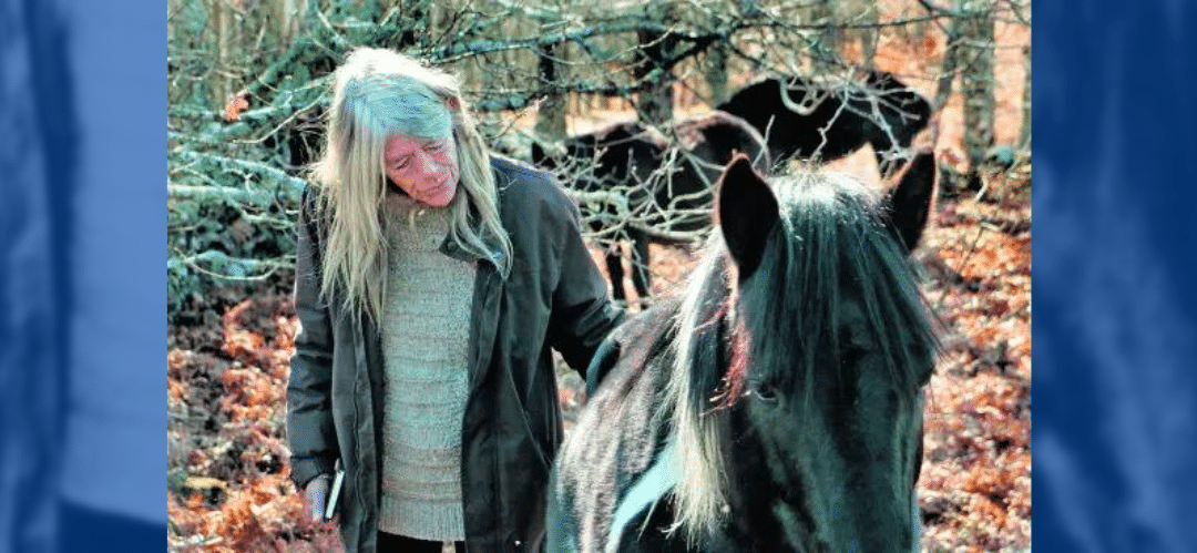 Piornal: Hogar de la Única Reserva Europea para Caballos Salvajes Pottokas