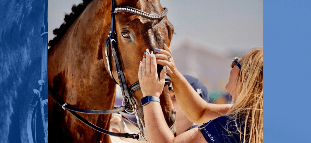 La FEI continúa con el debate en torno al uso de hierros en las competiciones 