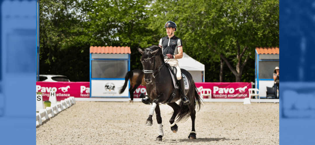 Declaraciones de Guillermo García Ayala