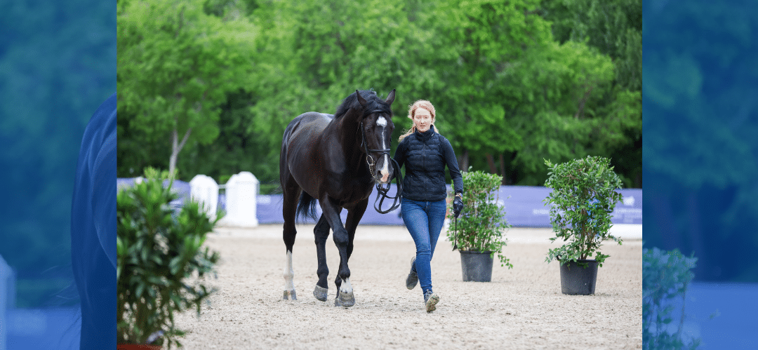 Todo listo para el comienzo del Longines Global Champions Tour 113 CSI Madrid