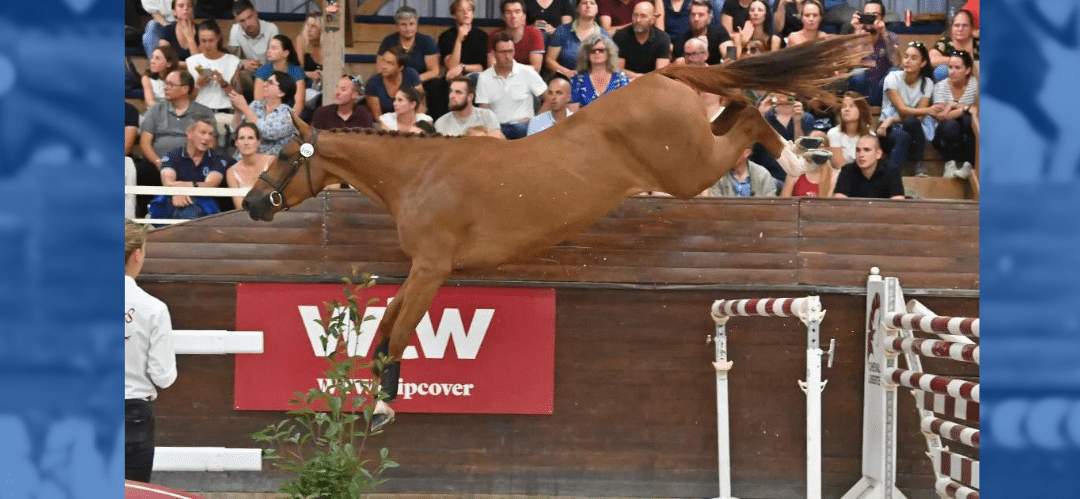 Calendario de Subastas para mayo