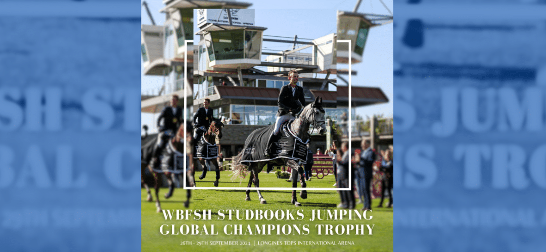 WBFSH Studbooks Jumping GCT 2024