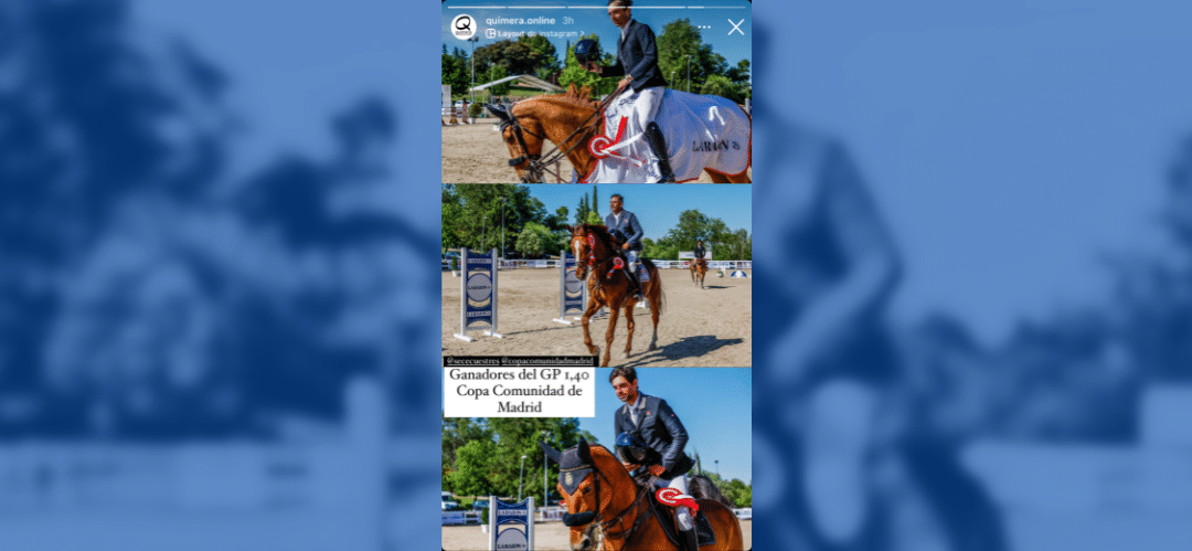 Los siete primeros clasificados del Gran Premio La Razón comen Gain