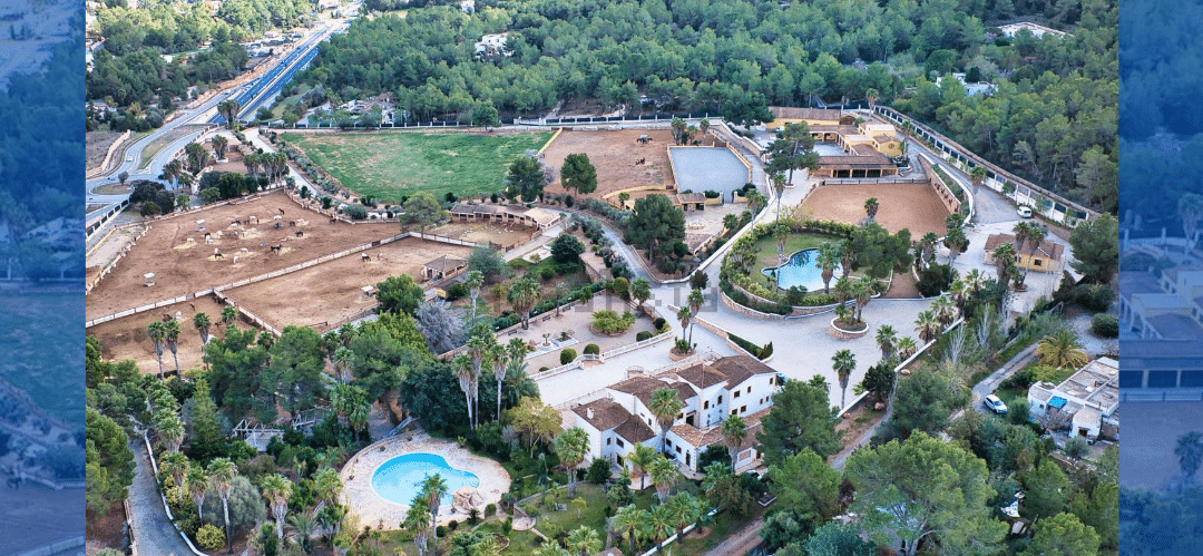 La Finca Los Olivos de Sant Rafel a la venta