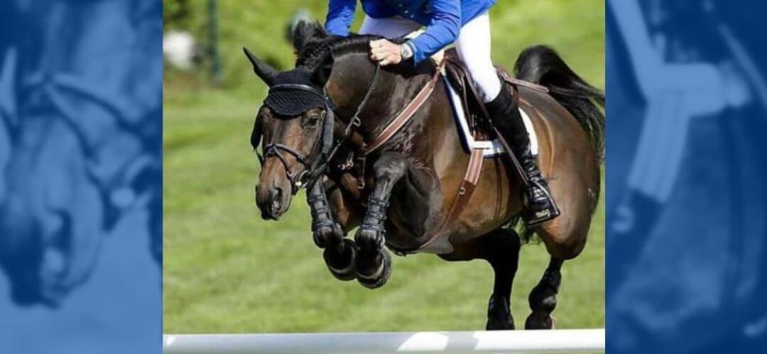 Fallece I Am Codex tras un cólico