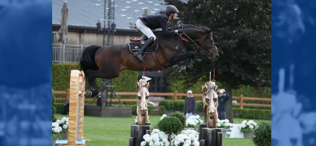 Calvino II de Nyze Z de Thibeau Spits vendido