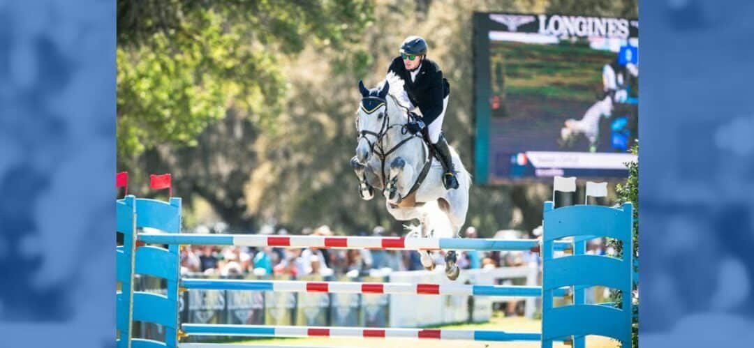 Nuevas propuestas de la FEI para las normativas de Salto en 2024