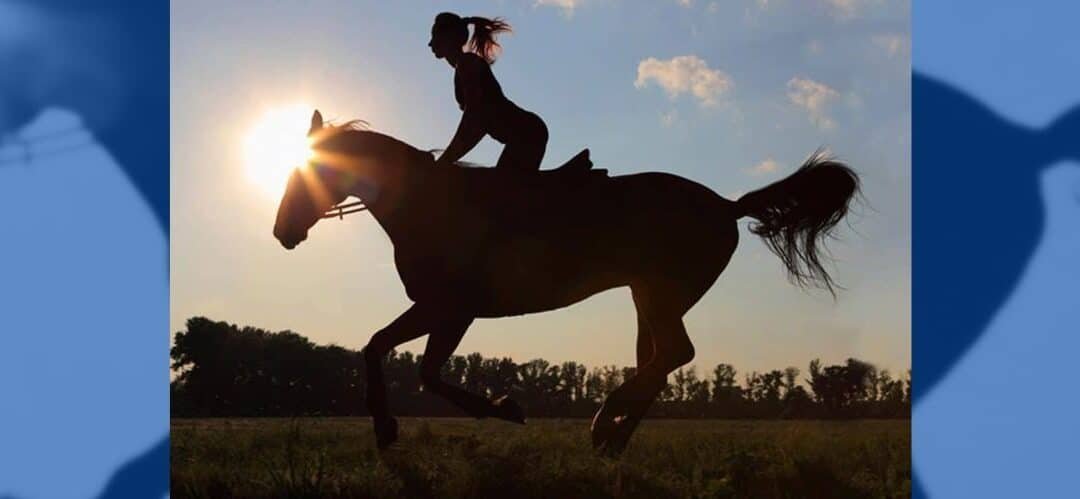 Cómo formalizar un contrato de compraventa de caballos adecuado