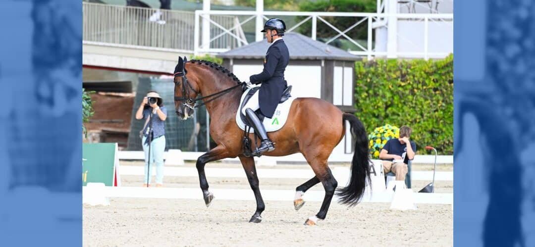 Gladiador do Lis de José Antonio García Mena dentro del Top 100 de los mejores caballos de Doma Clásica