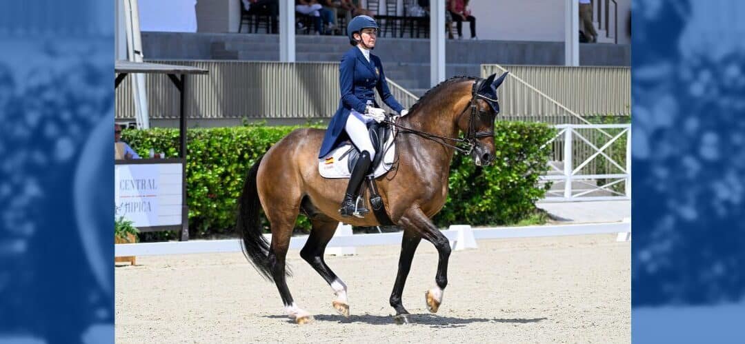 El CDI4* de Kronberg es la recta final para los Juegos Olímpicos
