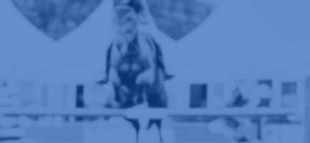 Marketing ecuestre: Impulso para el futuro del sector hípico