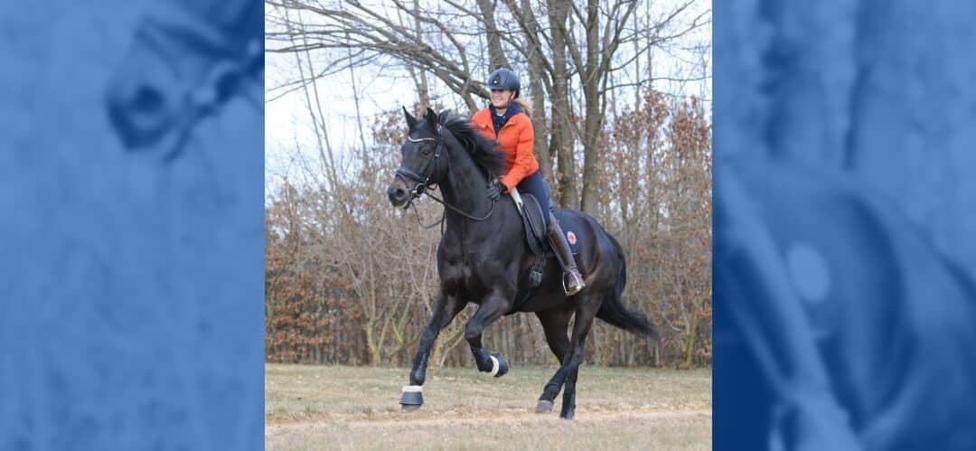 Fallece Tamino de Jessica von Bredow-Werndl