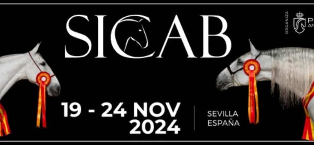 ¡Entradas ya disponibles para SICAB 2024!