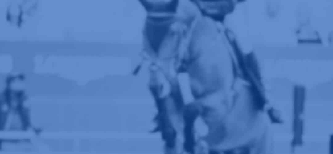 ¿Eres jinete y estás cansado de tener que gestionar todo lo que rodea tu carrera deportiva?