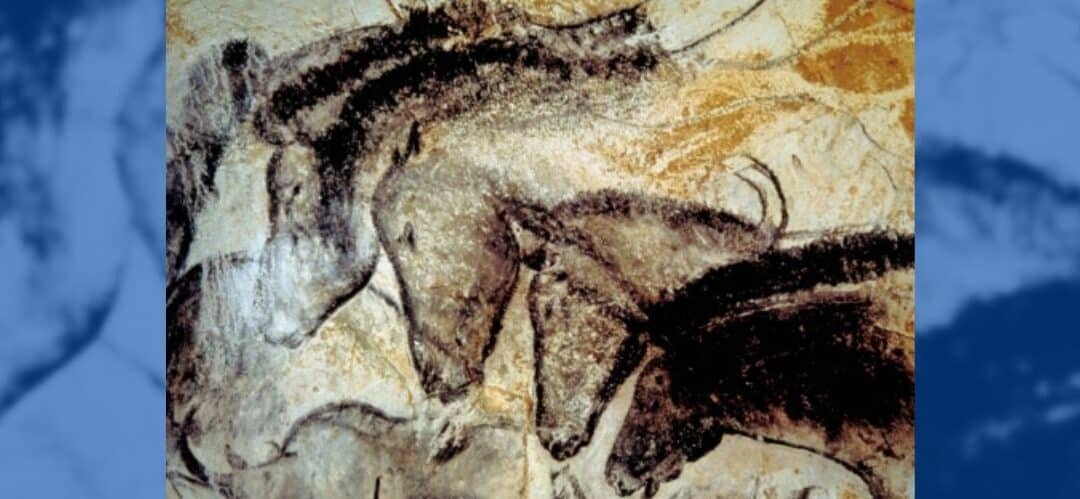 Los arqueólogos han rastreado el origen del caballo y desde cuándo el humano los monta