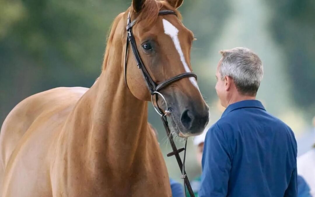 Julien Épaillard, líder indiscutible del equipo Olímpico de Salto