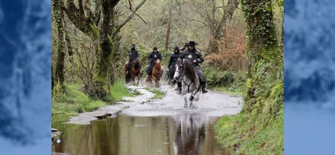 Te gustaría hacer el Camino de Santiago a caballo