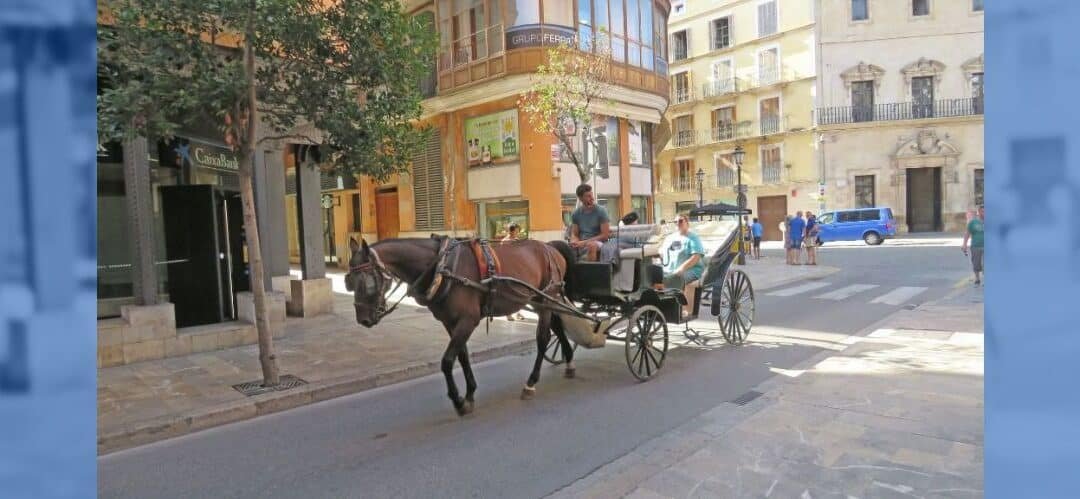 Manifestación en Palma contra la explotación de caballos en galeras