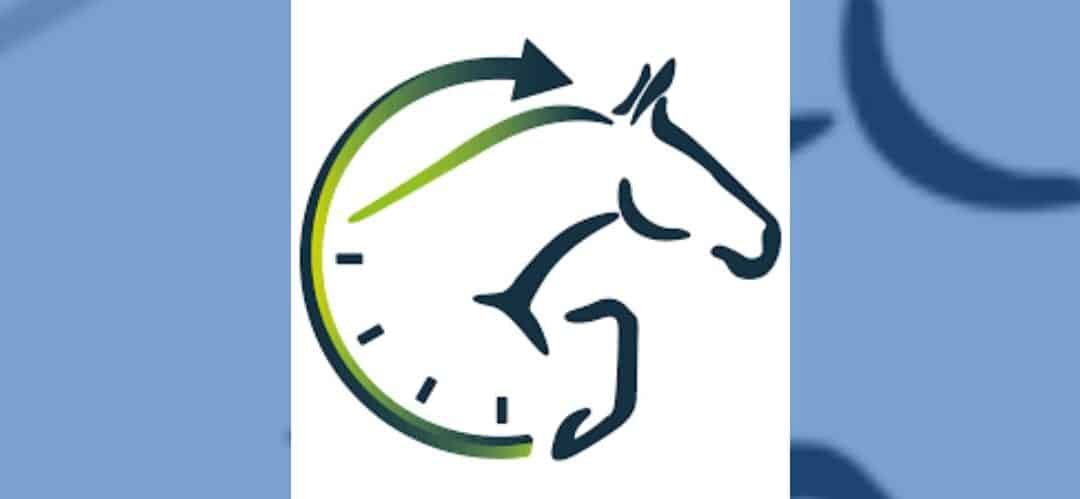 Subastas de potros en línea de Paardenveilingonline
