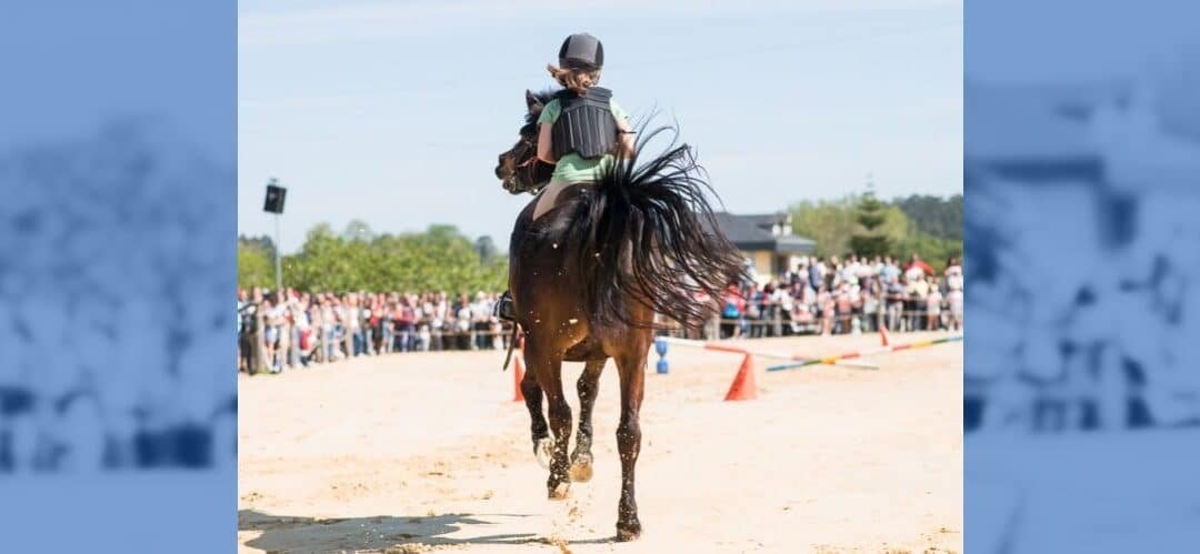 Patentes ecuestres: Innovación y protección en el mundo del caballo