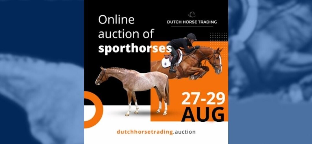 Subasta online en Dutch Horse Trading