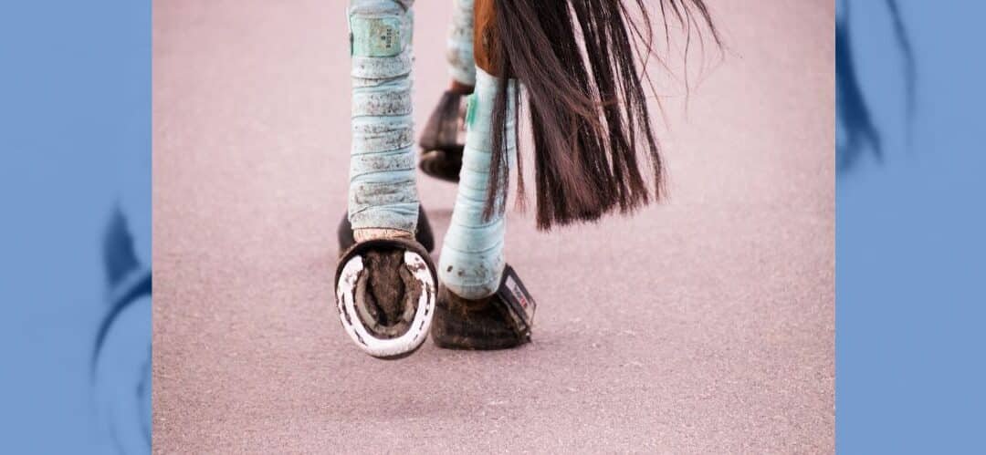 Protectores VS vendas. ¿Cuál elegir?