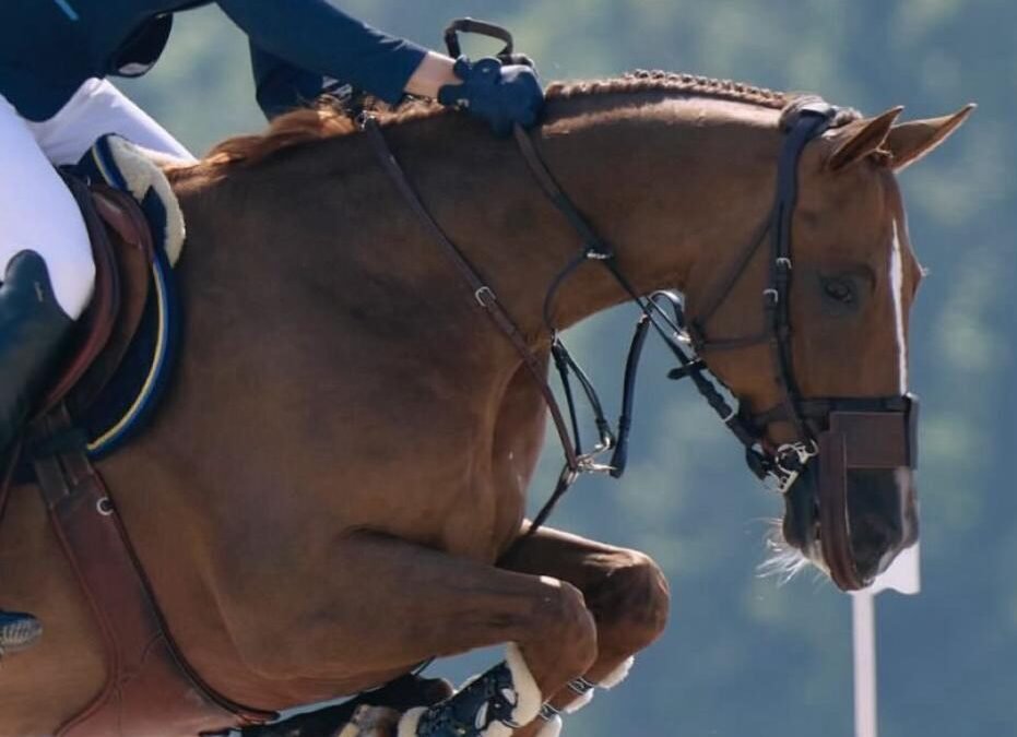 ¿Qué lleva King Edward en los cascos?