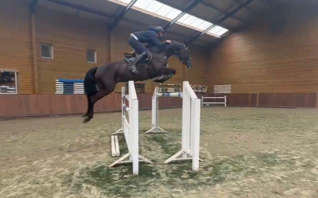 Salvador Cámara y Carlos Calvo, aliados con caballo nuevo