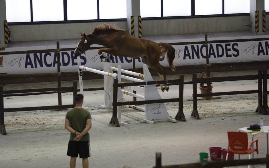 ANCADES 2024: Horarios estimados