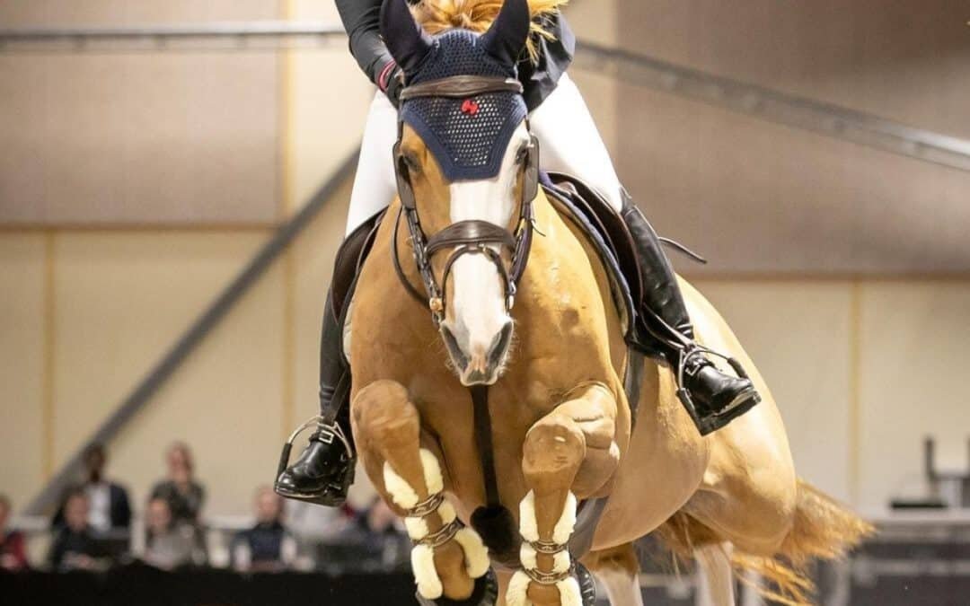 Amanda Landeblad y For Killy, de menos a más