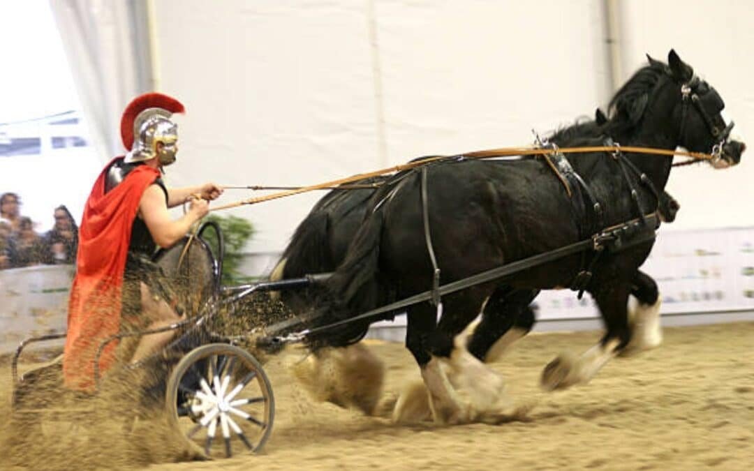 Las primeras competiciones de hípica