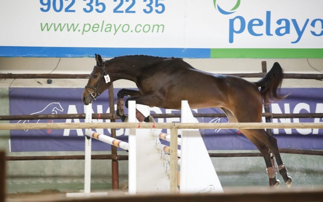 Horarios de la tercera jornada de la Final ANCADES 2024