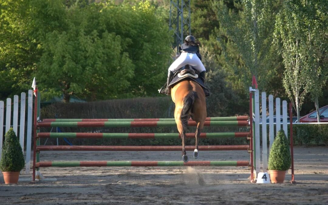 La hípica en Marruecos: Un paseo a caballo por el desierto