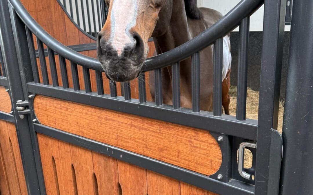 Arrayán disfruta de su merecida jubilación en Montenmedio