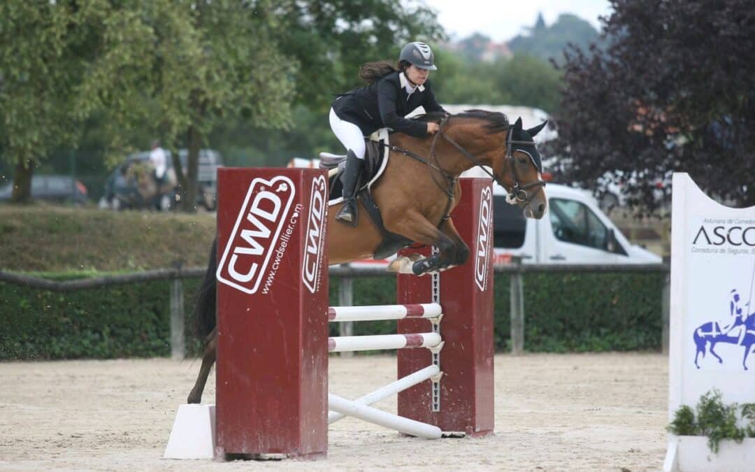 Puntos relevantes del contrato de cesión de un caballo