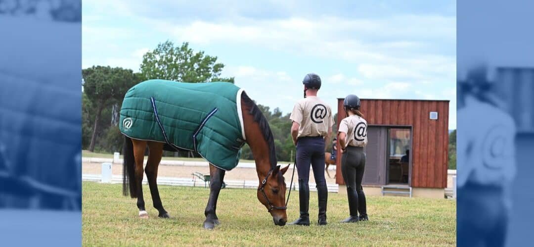 Arroba Ganadería: increíbles instalaciones en un entorno privilegiado